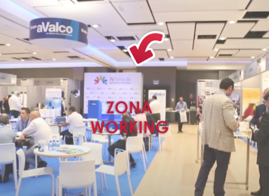 ZONA-WORKING